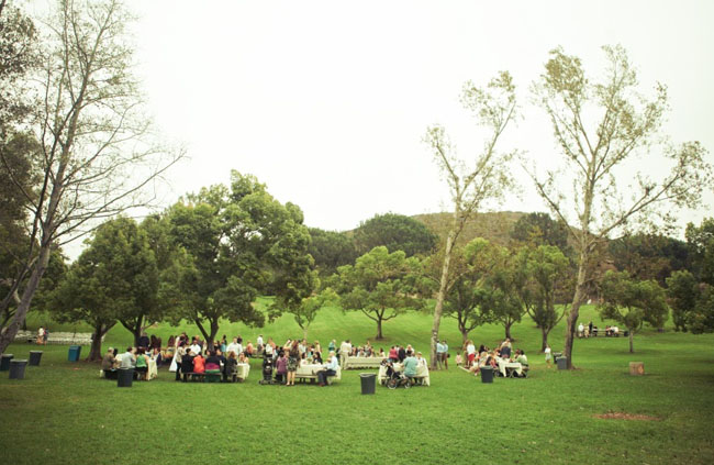 picnic wedding reception