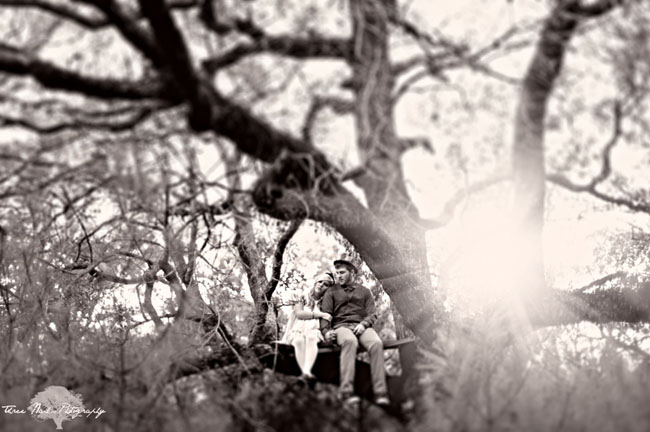 couple in a tree black and white photo