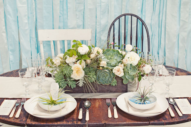 airplant wedding table decor