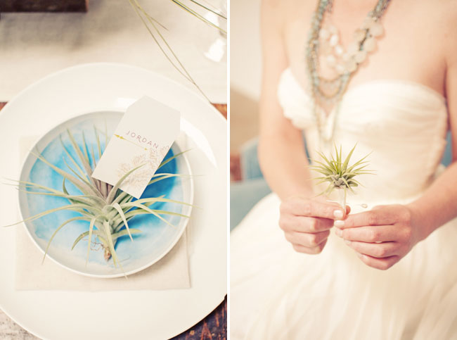 airplant wedding favor The seating cards were rested in air plants set 
