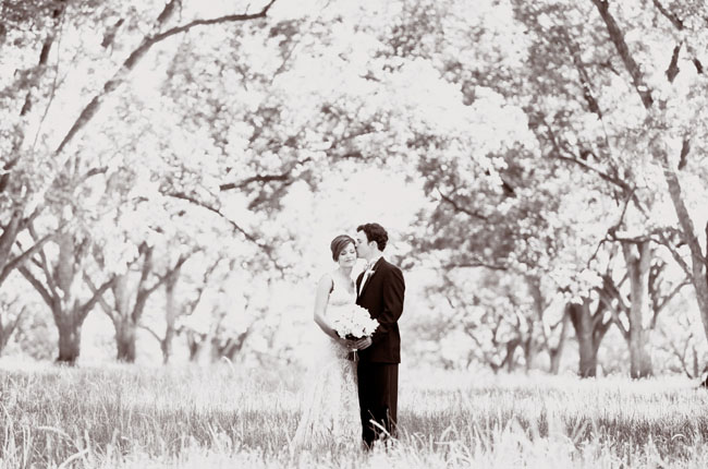 romantic wedding portraits in black and white