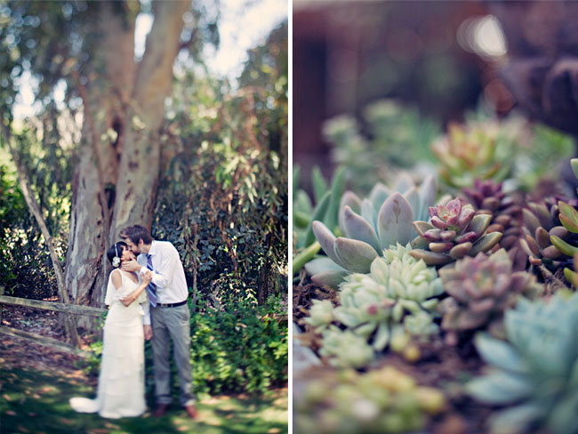 wedding succulents california