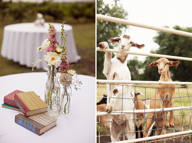 wedding with goats