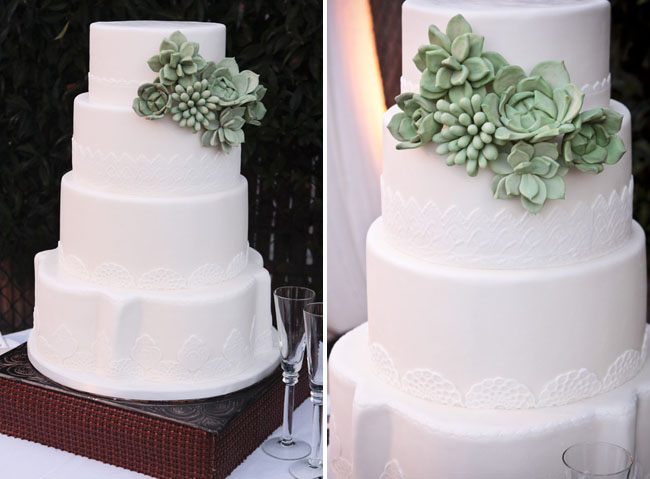 succulent side cake