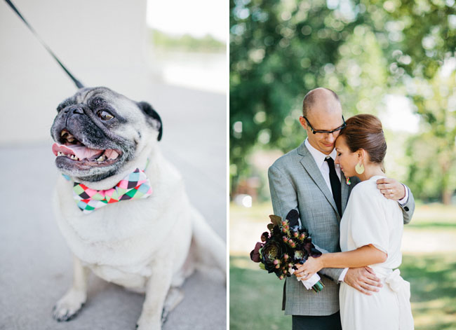 pug wedding dog